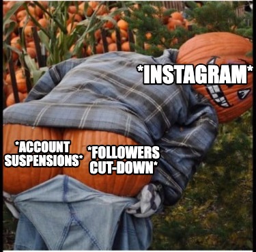 instagram-account-suspensions-followers-cut-down