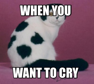 when-you-want-to-cry