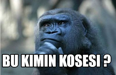 bu-kimin-koses-