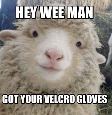 hey-wee-man-got-your-velcro-gloves