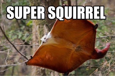 super-squirrel