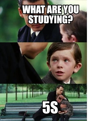 Meme Creator - Funny What are you studying? 5S Meme Generator at  !