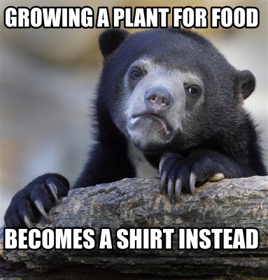 growing-a-plant-for-food-becomes-a-shirt-instead