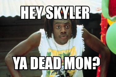 hey-skyler-ya-dead-mon