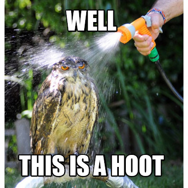 well-this-is-a-hoot