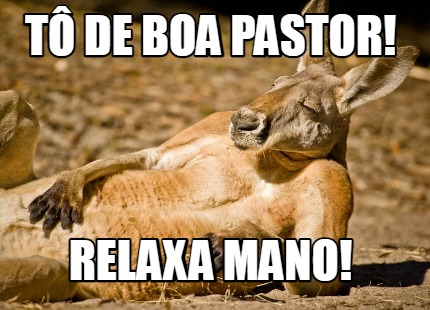 t-de-boa-pastor-relaxa-mano