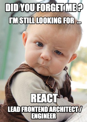 did-you-forget-me-im-still-looking-for-...-react-lead-frontend-architect-enginee
