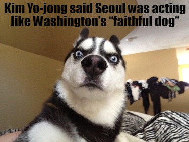 kim-yo-jong-said-seoul-was-acting-like-washingtons-faithful-dog