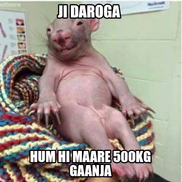 ji-daroga-hum-hi-maare-500kg-gaanja