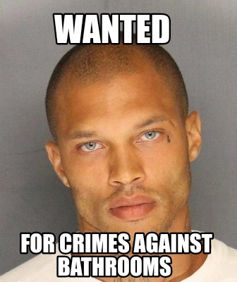 wanted-for-crimes-against-bathrooms