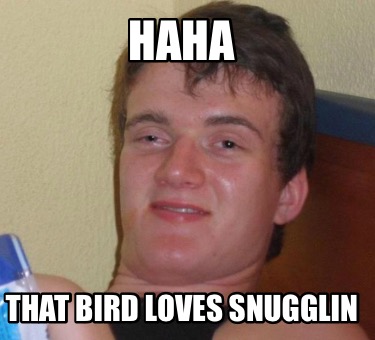 haha-that-bird-loves-snugglin
