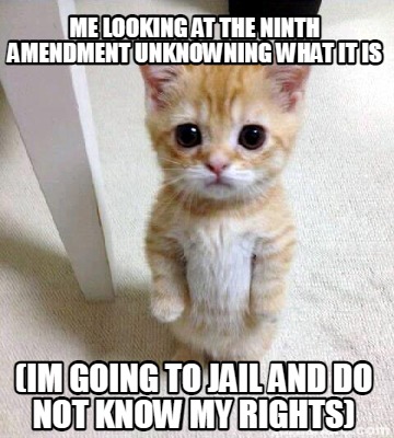 me-looking-at-the-ninth-amendment-unknowning-what-it-is-im-going-to-jail-and-do-