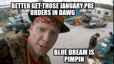 better-get-those-january-pre-orders-in-dawg-blue-dream-is-pimpin