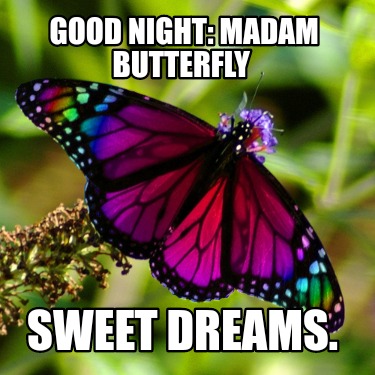 good-night-madam-butterfly-sweet-dreams