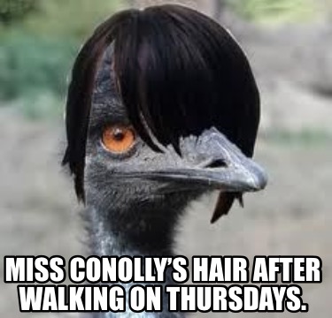 miss-conollys-hair-after-walking-on-thursdays