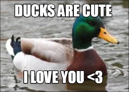 ducks-are-cute-i-love-you-