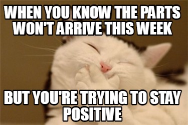 when-you-know-the-parts-wont-arrive-this-week-but-youre-trying-to-stay-positive