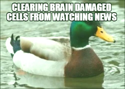 clearing-brain-damaged-cells-from-watching-news