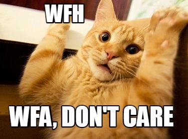 wfh-wfa-dont-care