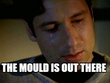 the-mould-is-out-there