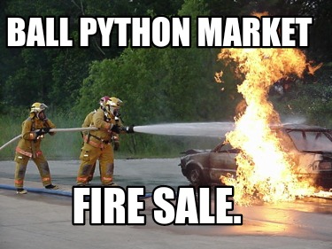 ball-python-market-fire-sale
