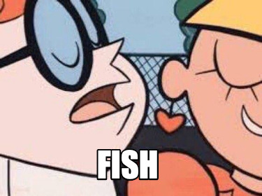 fish81