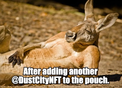 after-adding-another-dustcitynft-to-the-pouch