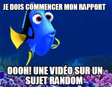 je-dois-commencer-mon-rapport-oooh-une-vido-sur-un-sujet-random