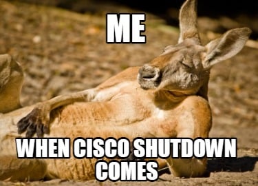 me-when-cisco-shutdown-comes