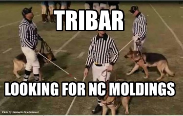 tribar-looking-for-nc-moldings