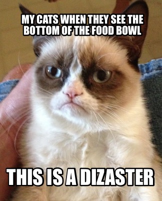 my-cats-when-they-see-the-bottom-of-the-food-bowl-this-is-a-dizaster