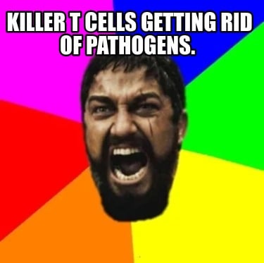 killer-t-cells-getting-rid-of-pathogens