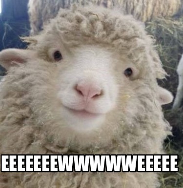 eeeeeeewwwwweeeee