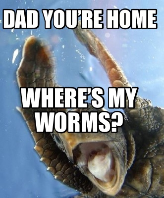 dad-youre-home-wheres-my-worms