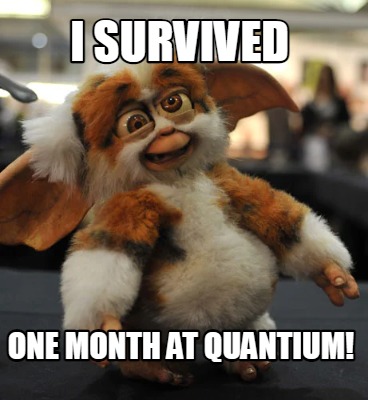 i-survived-one-month-at-quantium