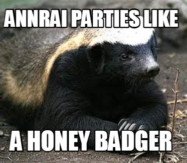 annrai-parties-like-a-honey-badger