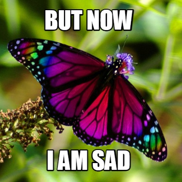 but-now-i-am-sad