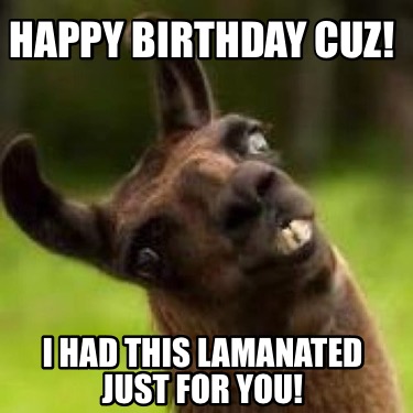 happy-birthday-cuz-i-had-this-lamanated-just-for-you