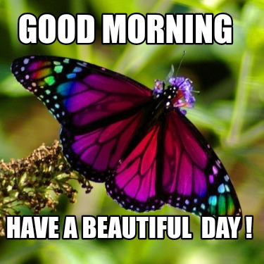 Meme Creator - Funny Good Morning Beautiful Meme Generator at ! Meme Creator - Funny Good Morning Beautiful Meme Generator at !