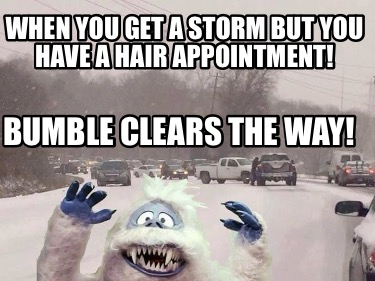 when-you-get-a-storm-but-you-have-a-hair-appointment-bumble-clears-the-way