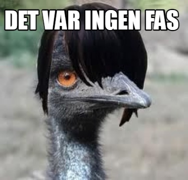 det-var-ingen-fas