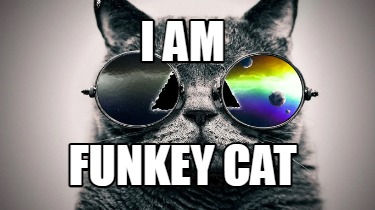 i-am-funkey-cat