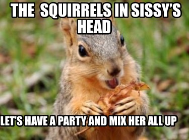 the-squirrels-in-sissys-head-lets-have-a-party-and-mix-her-all-up