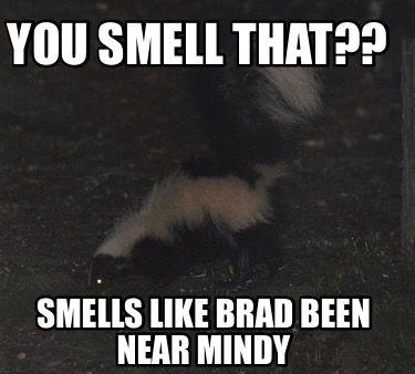 you-smell-that-smells-like-brad-been-near-mindy