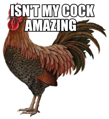 isnt-my-cock-amazing