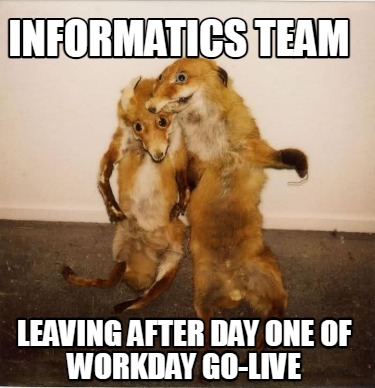 informatics-team-leaving-after-day-one-of-workday-go-live