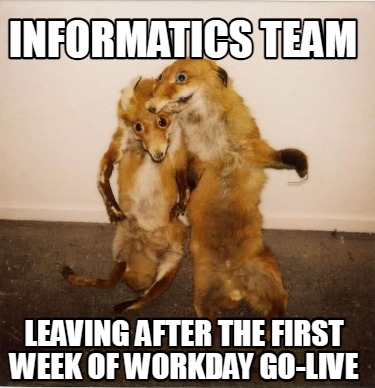 informatics-team-leaving-after-the-first-week-of-workday-go-live
