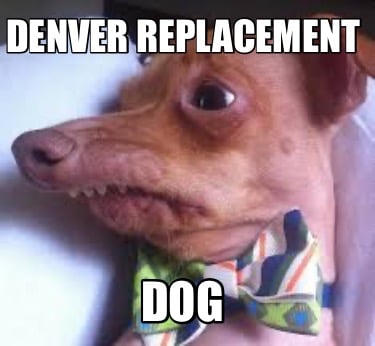 denver-replacement-dog