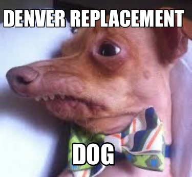 denver-replacement-dog