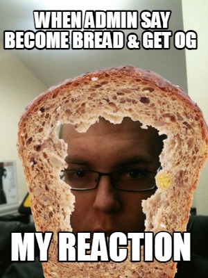 when-admin-say-become-bread-get-og-my-reaction